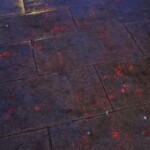 Geneva Lux - 20210130 - Floraison par Pitaya, entre la rue du Mont-Blanc et la rue de Chantepoulet