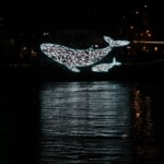 Geneva Lux - 20210130 - Flying Whales par le collectif HTX, sur l'île Rousseau