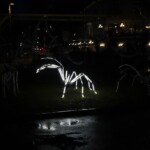 Geneva Lux - 20210130 - Spider In Situ par le Groupe LAPS à la rotonde du Mont-Blanc