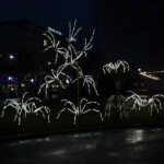 Geneva Lux - 20210130 - Spider In Situ par le Groupe LAPS à la rotonde du Mont-Blanc