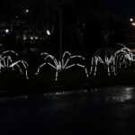 Geneva Lux - 20210130 - Spider In Situ par le Groupe LAPS à la rotonde du Mont-Blanc