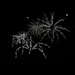 Geneva Lux - 20210130 - Spider In Situ par le Groupe LAPS à la rotonde du Mont-Blanc